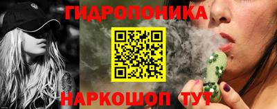 СК Сланцы