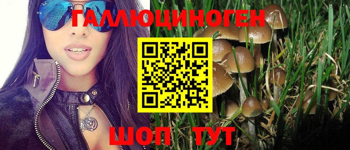 Псилоцибиновые грибы Psilocybe  Вход с VPN  Нальчик 