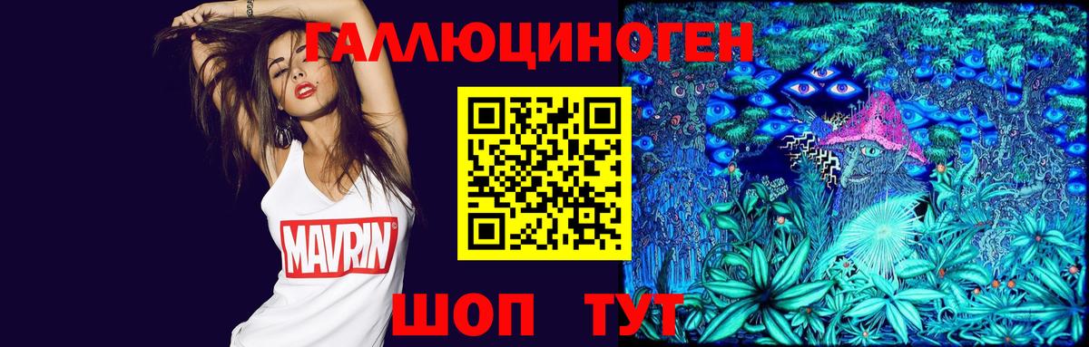 Псилоцибиновые грибы GOLDEN TEACHER Нальчик